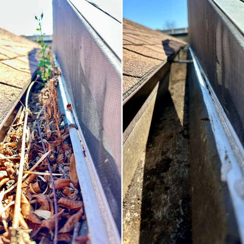 Gutter Cleaning Services in Orlando, FL