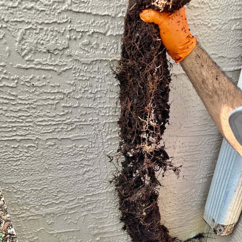 Prevent Overflows With Gutter Cleaning Services Near Me