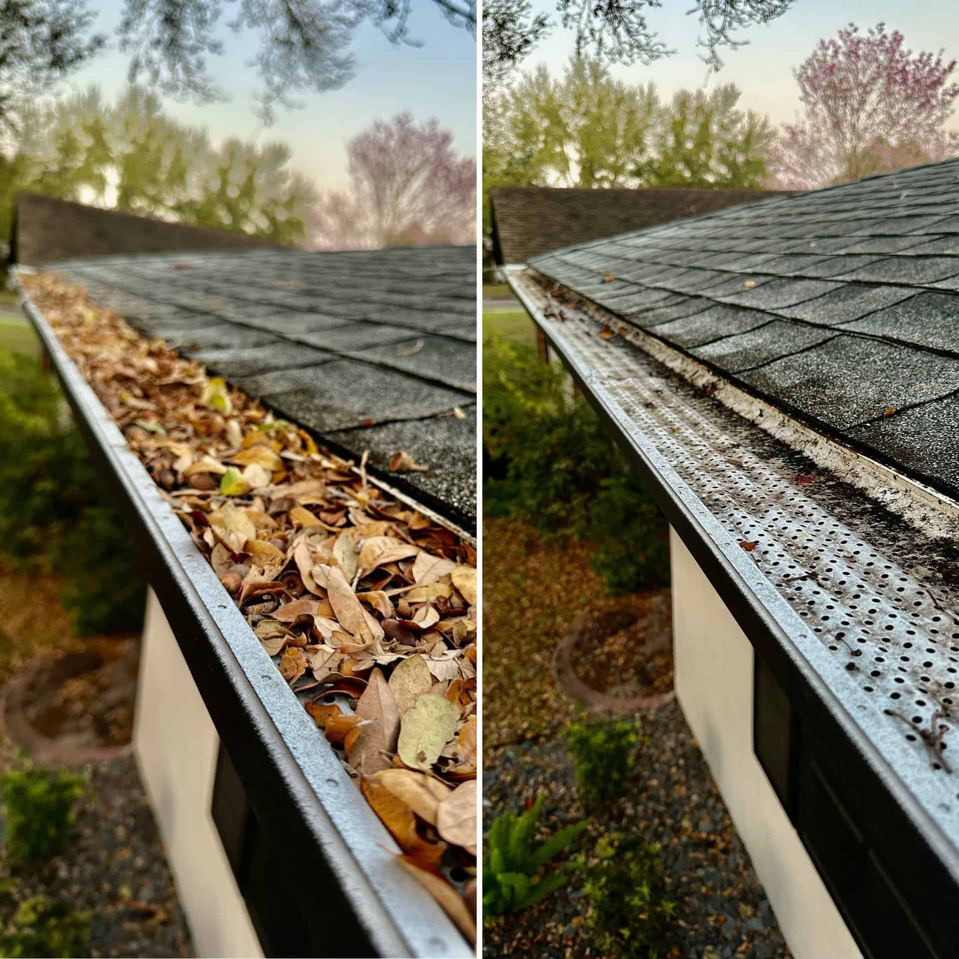 She Thought Her Gutters Were Clogged